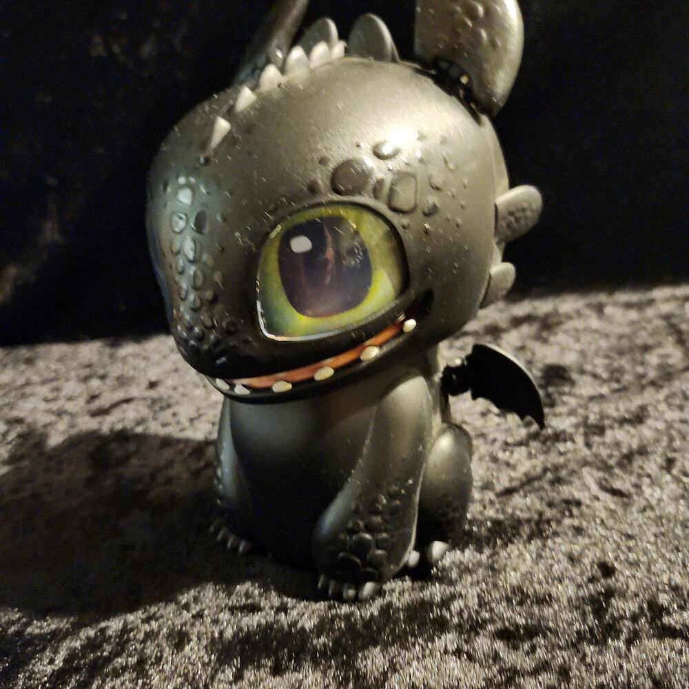 How To Train A Dragon - Picture 2 of 6